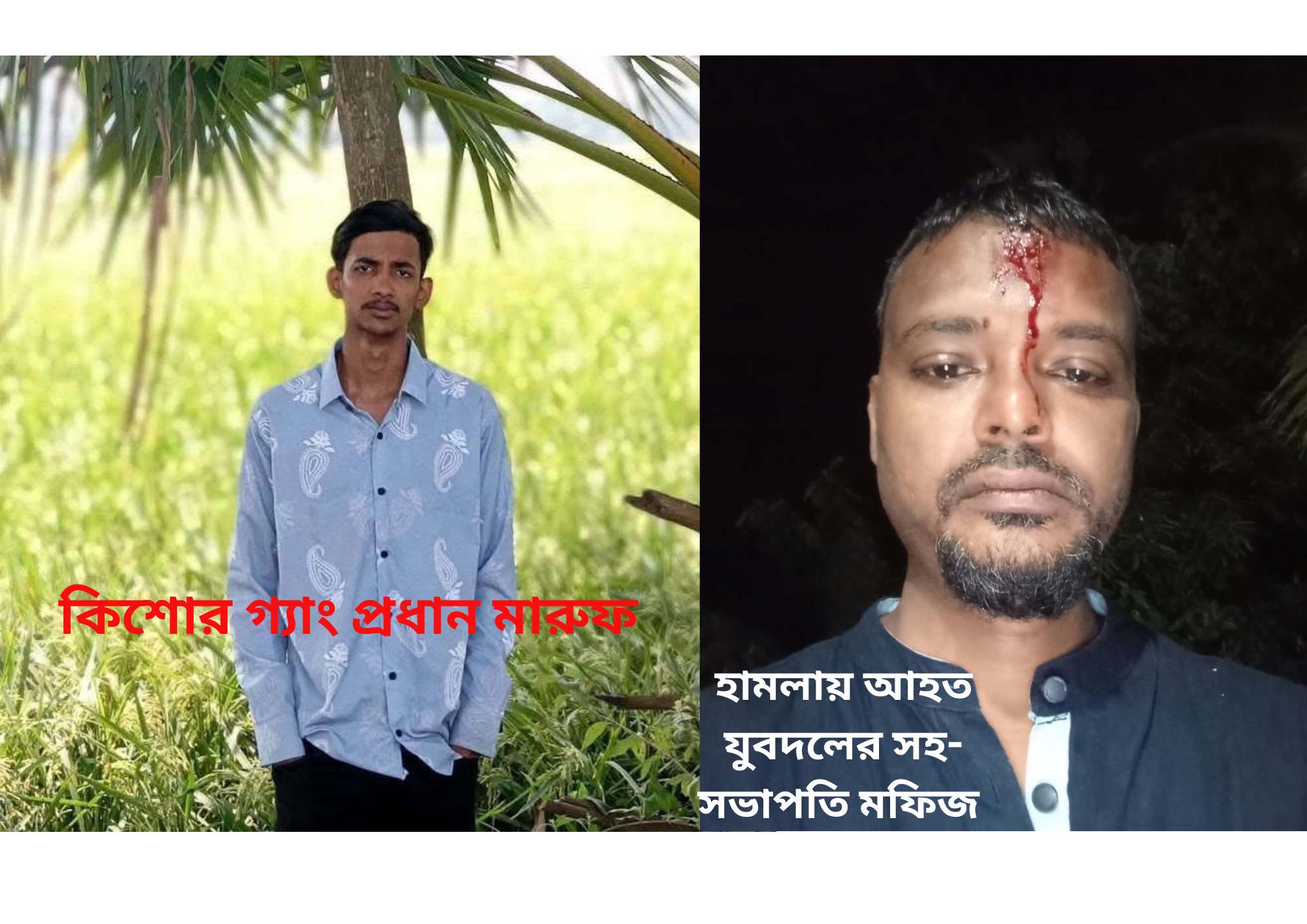 চৌদ্দগ্রামে গাছের পাতা পরা নিয়ে বিরোধ: কিশোর গ্যাংয়ের হামলায় যুবদল নেতা মফিজ আহত, সুষ্ঠু তদন্তের দাবি